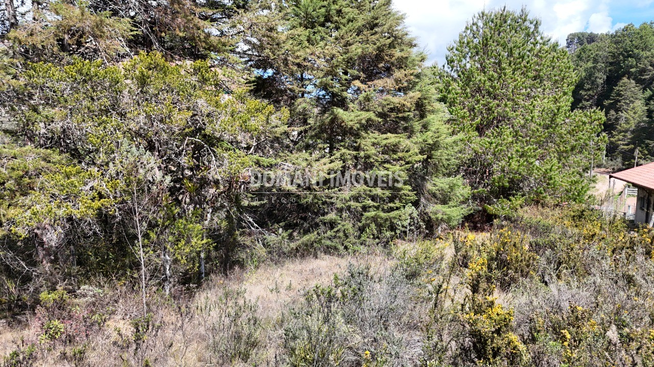 Terreno, 1010 m² - Foto 6