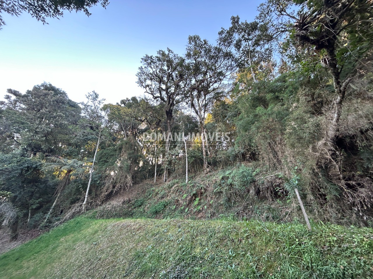Terreno, 1535 m² - Foto 6