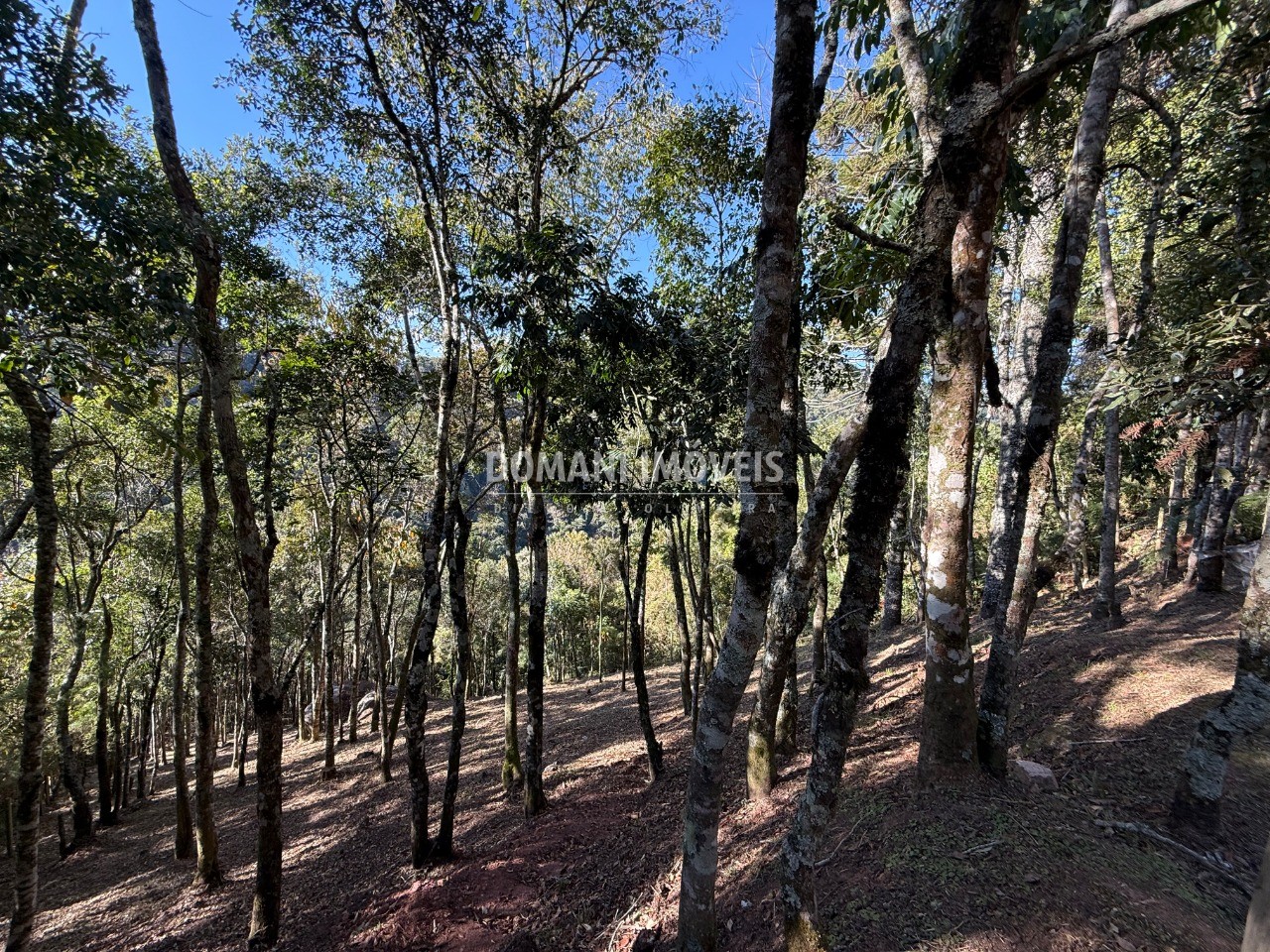 Terreno, 1210 m² - Foto 12