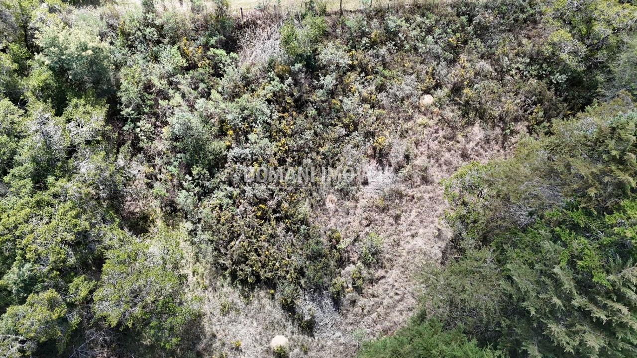 Terreno, 1010 m² - Foto 5