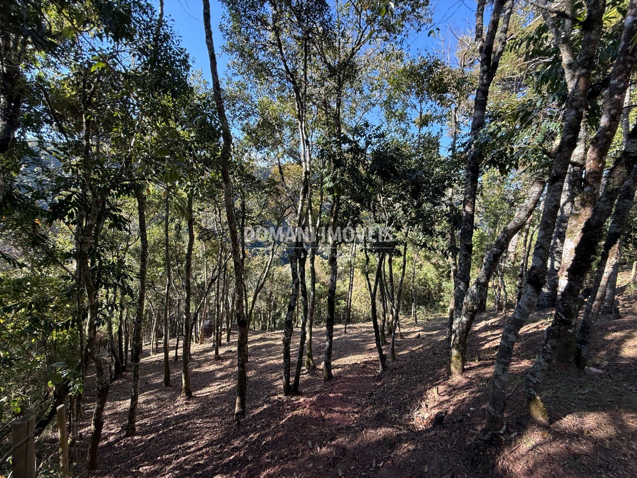 Terreno, 1210 m² - Foto 13