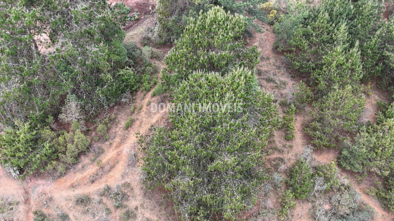 Terreno, 1685 m² - Foto 6