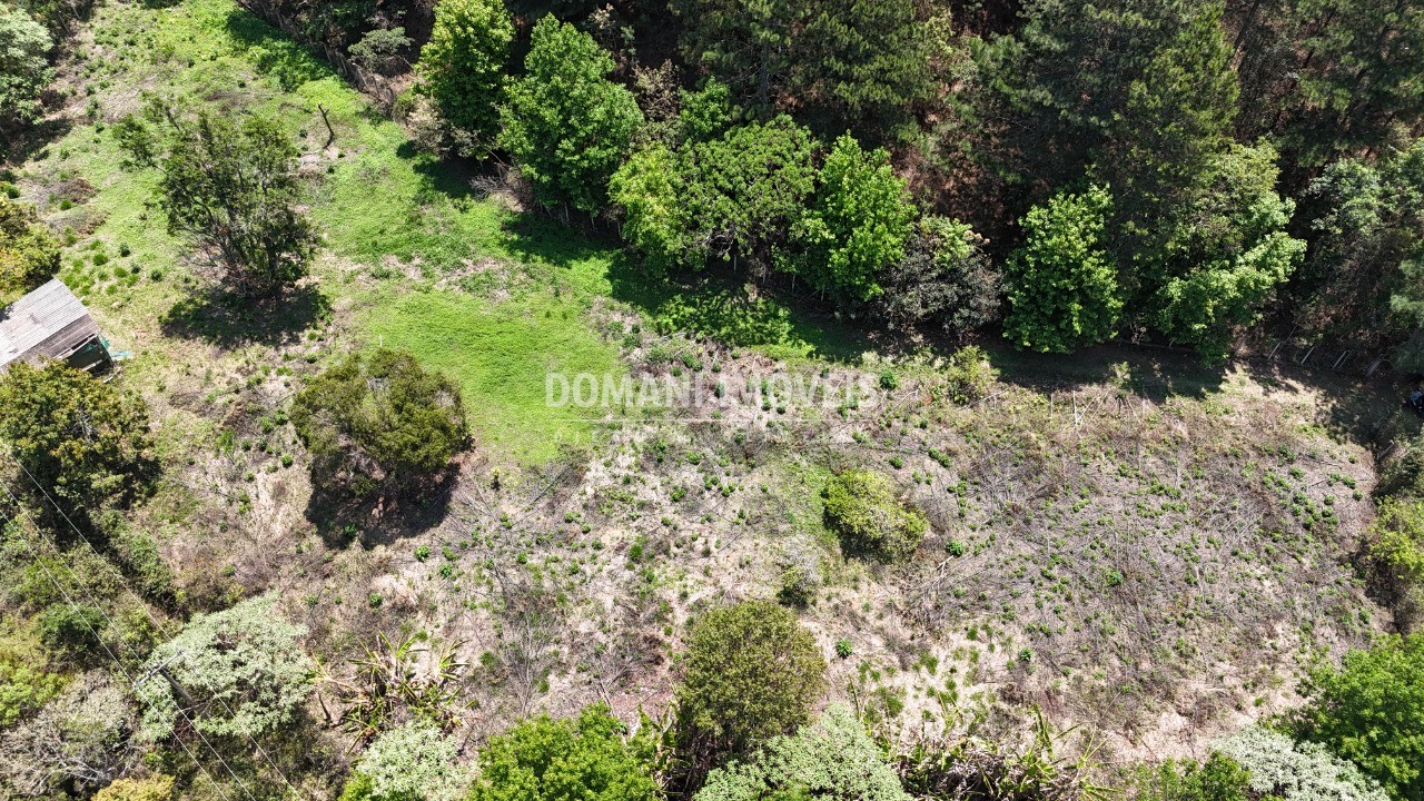 Terreno - Foto 6