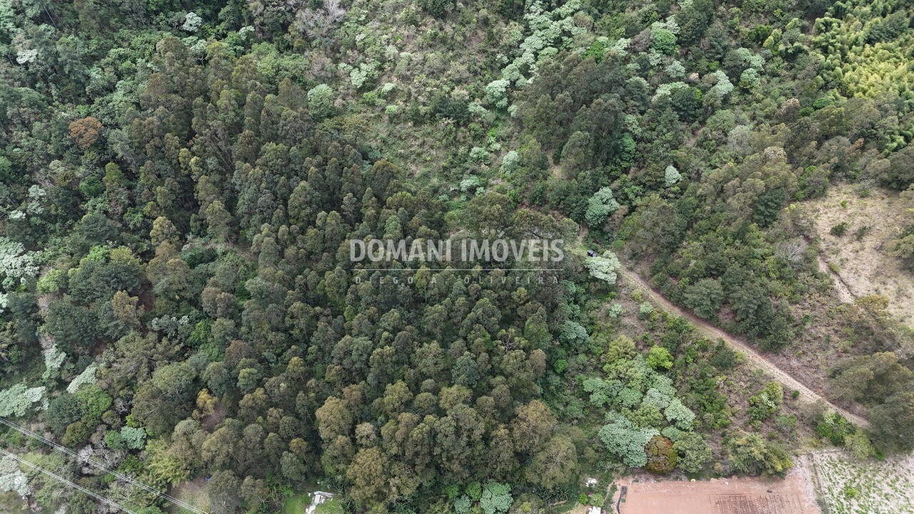 Terreno - Foto 10