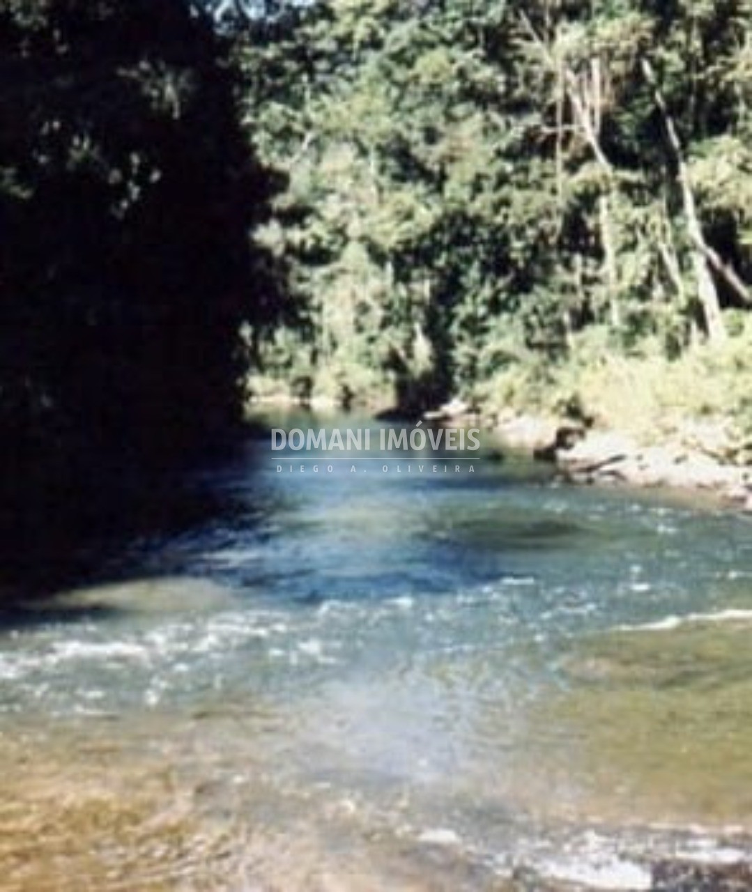 Fazenda - Foto 4