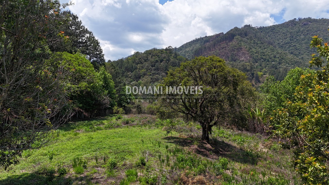 Terreno - Foto 4