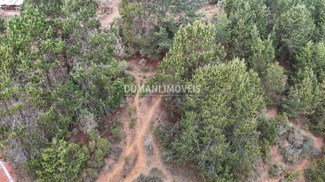 Terreno, 1685 m² - Foto 9