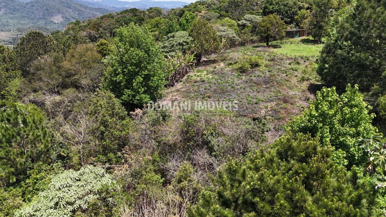Terreno - Foto 3