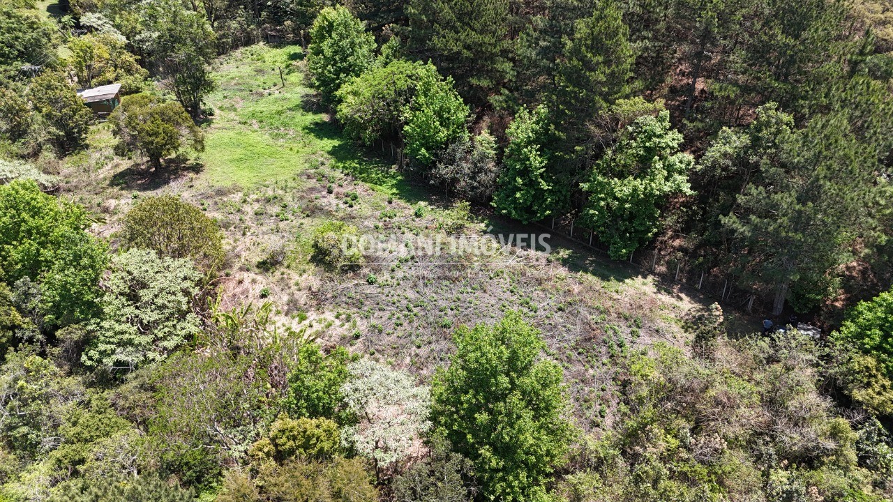 Terreno - Foto 9