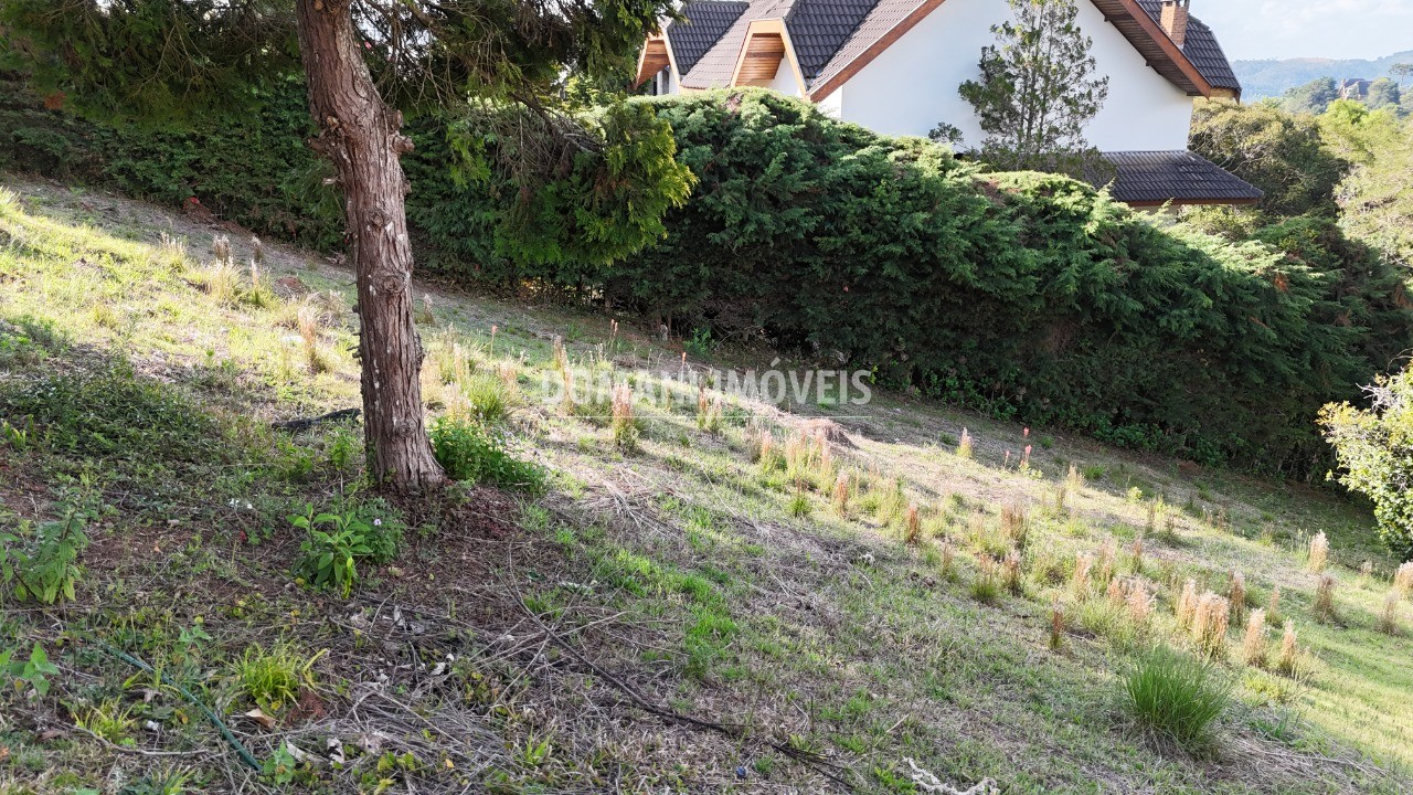 Terreno, 1395 m² - Foto 2