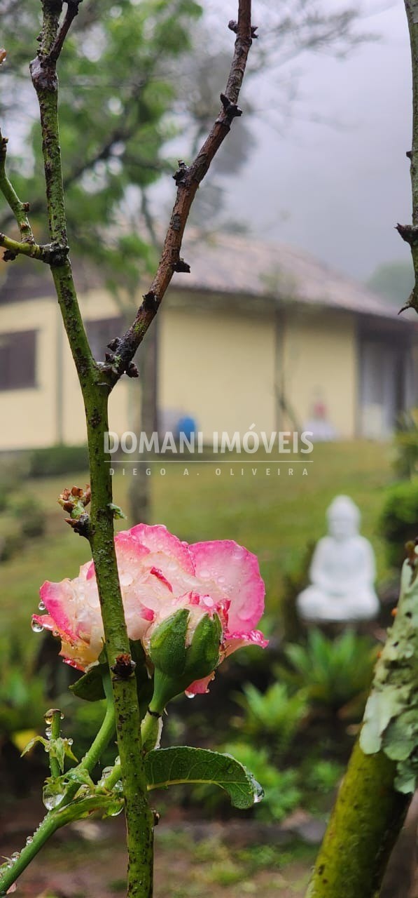 Terreno, 1000 m² - Foto 116