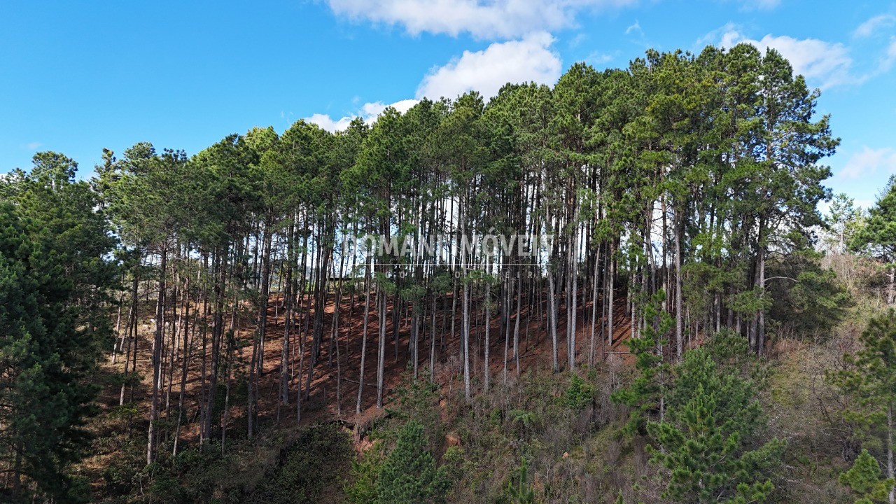 Terreno, 15050 m² - Foto 19