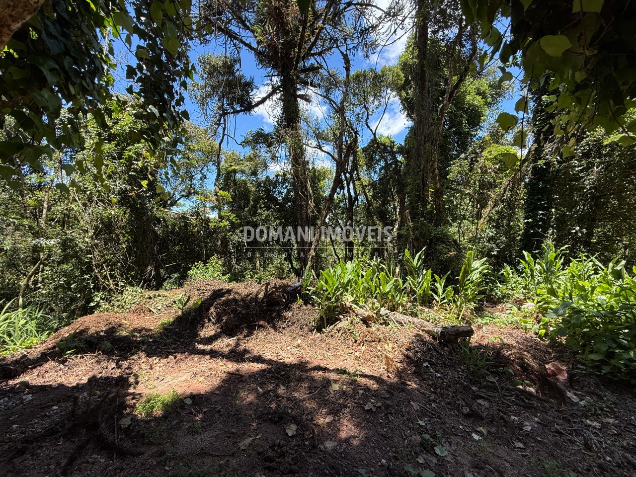 Terreno, 1095 m² - Foto 6