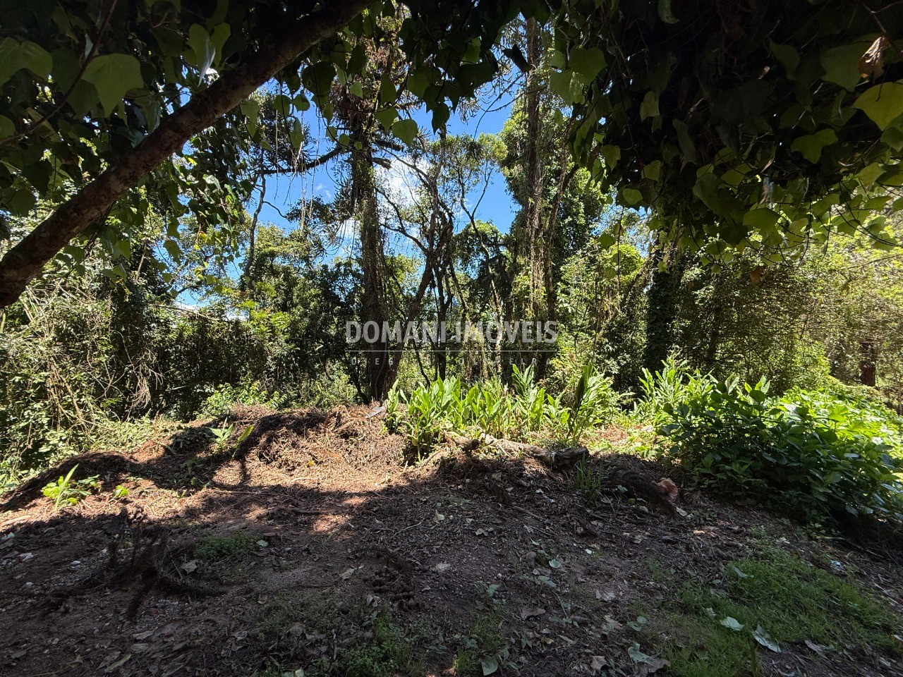 Terreno, 1095 m² - Foto 22