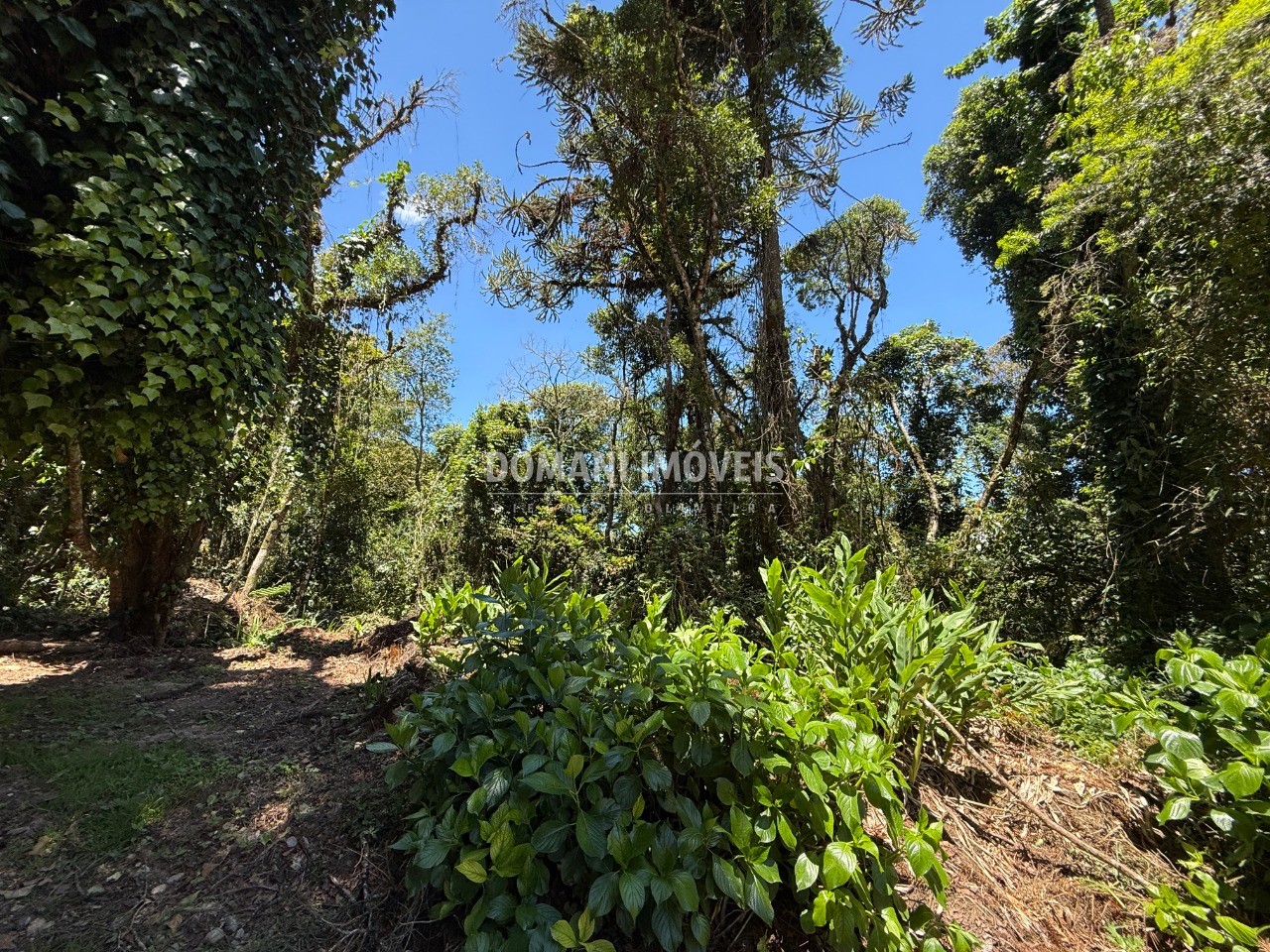 Terreno, 1095 m² - Foto 19