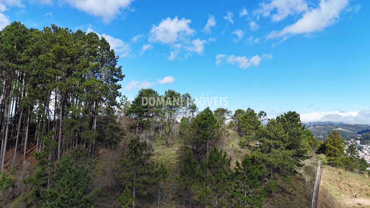 Terreno, 15050 m² - Foto 6