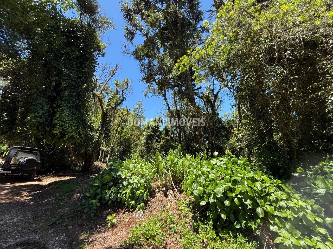 Terreno, 1095 m² - Foto 11
