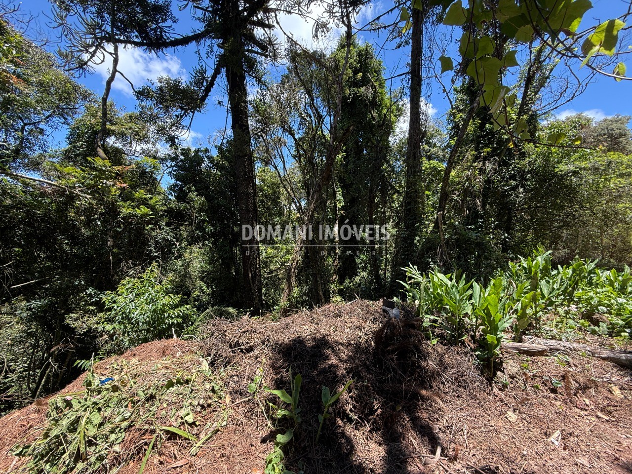 Terreno, 1095 m² - Foto 8