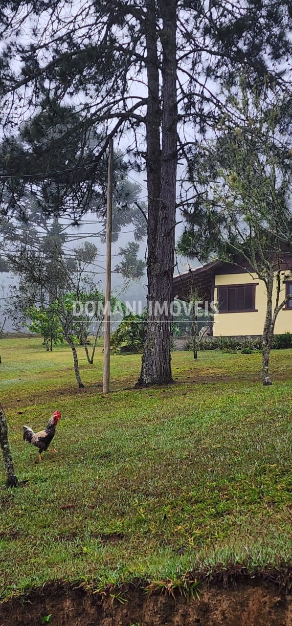 Terreno, 1000 m² - Foto 83