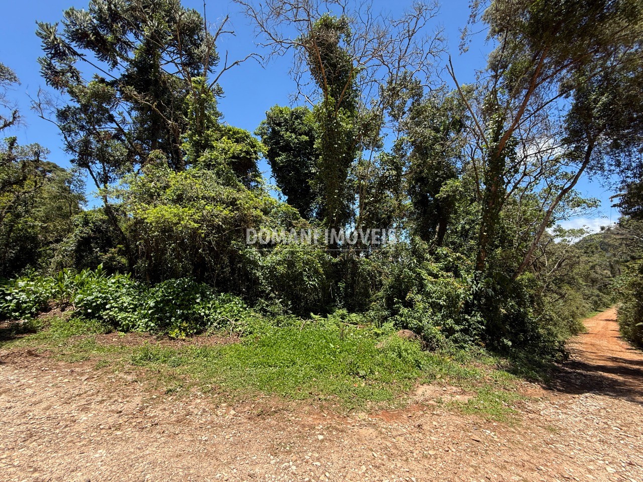 Terreno, 1095 m² - Foto 16