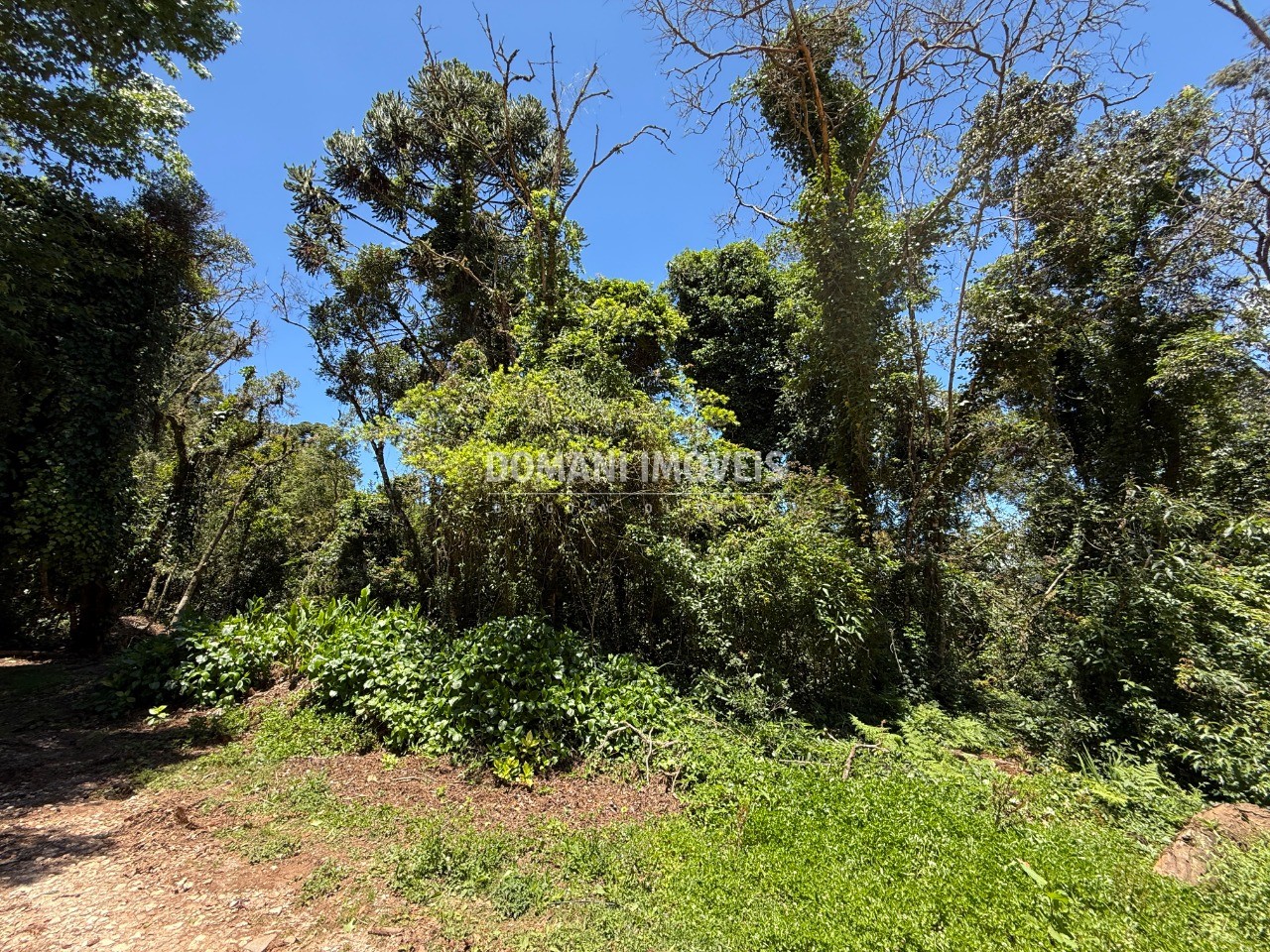 Terreno, 1095 m² - Foto 18