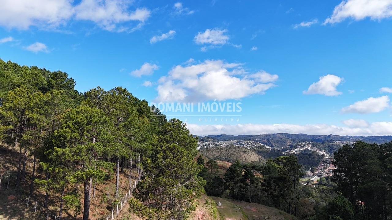 Terreno, 15050 m² - Foto 12