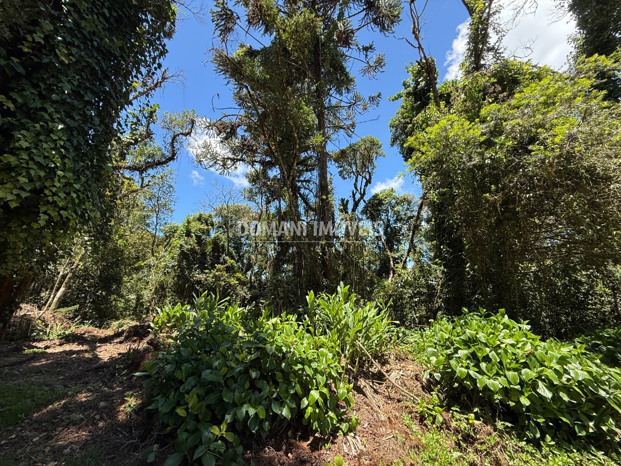 Terreno, 1095 m² - Foto 10