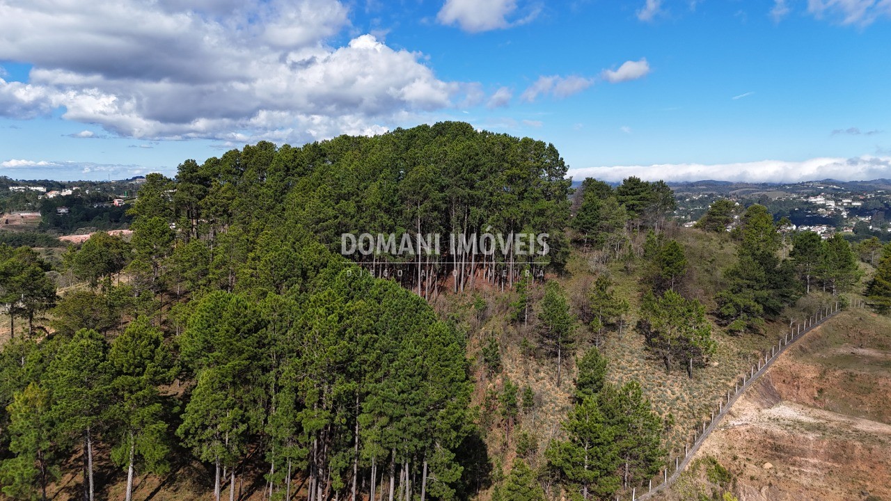 Terreno, 15050 m² - Foto 10
