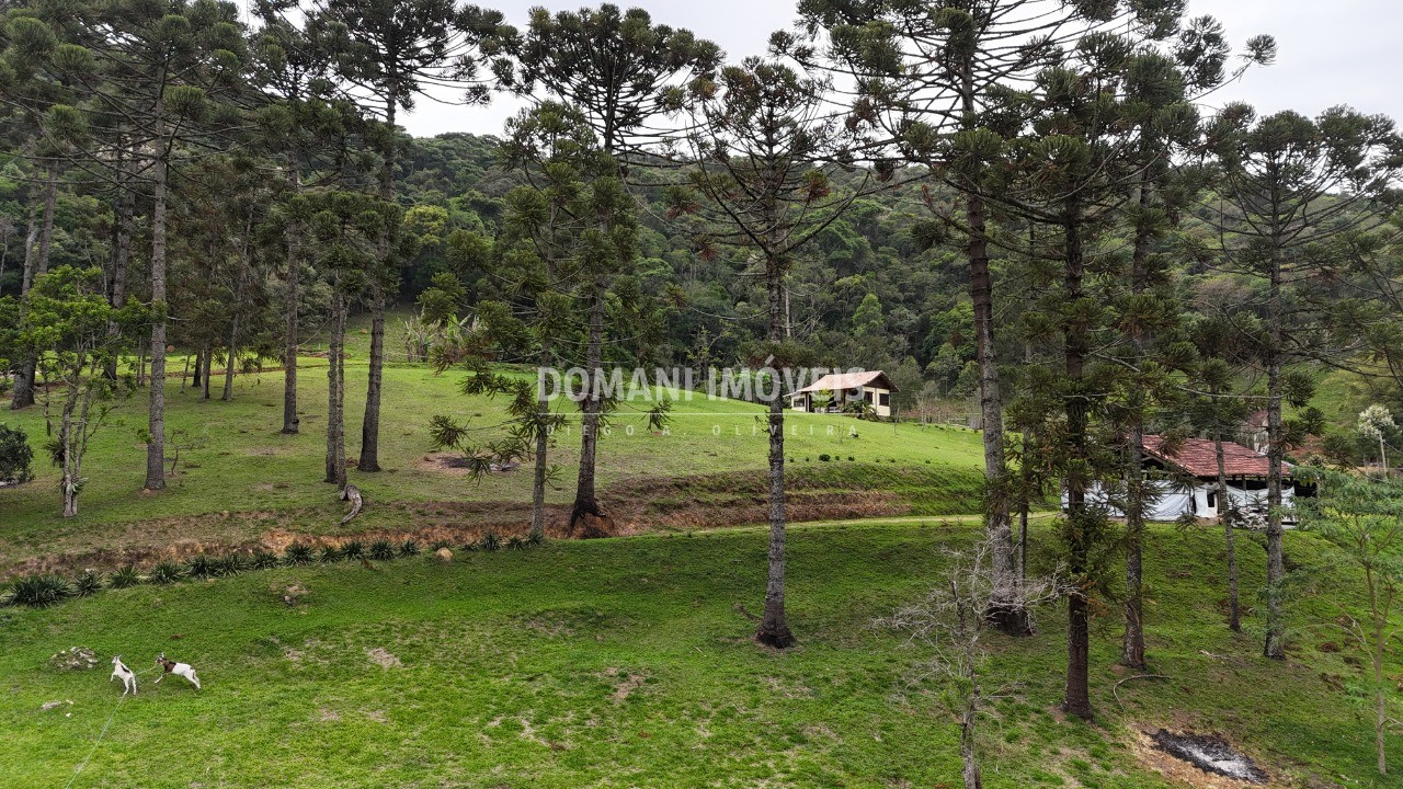 Terreno, 1000 m² - Foto 68