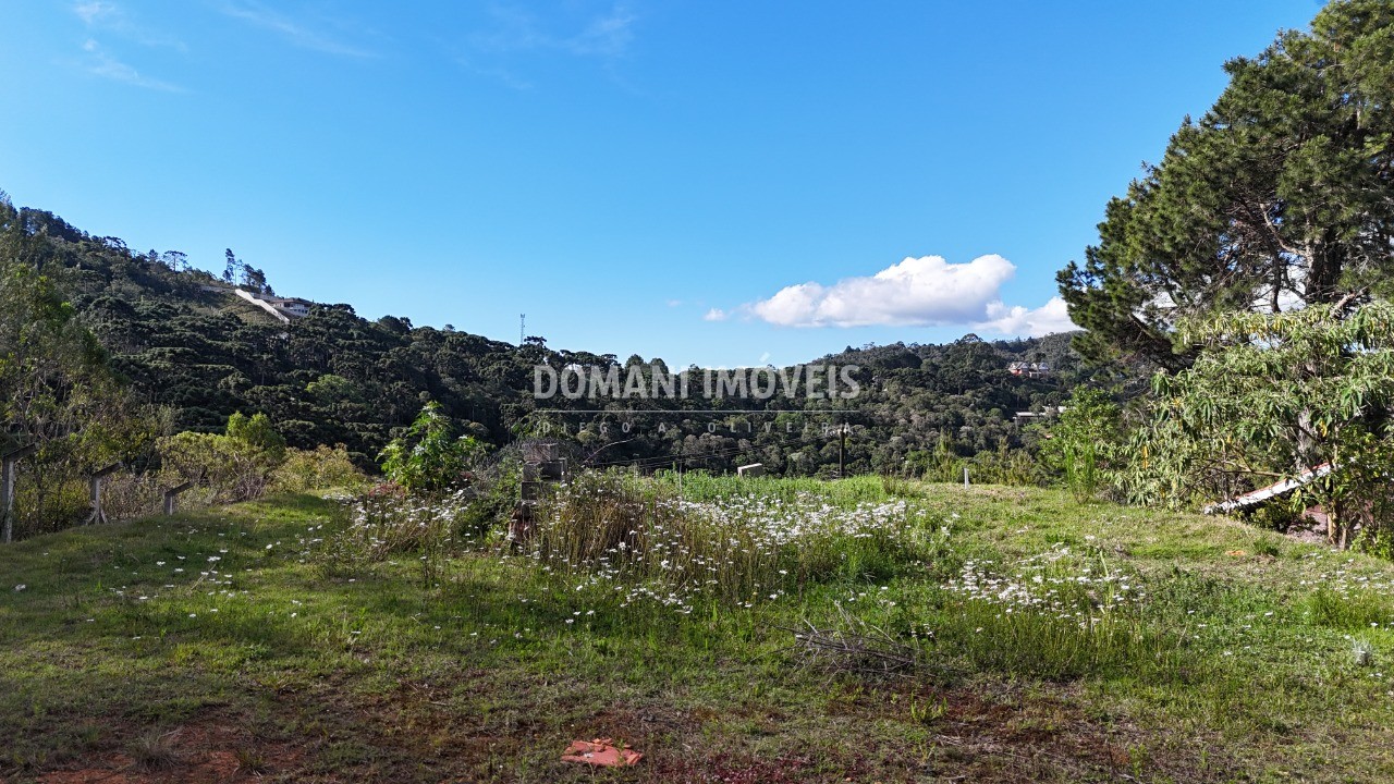 Terreno, 1010 m² - Foto 8