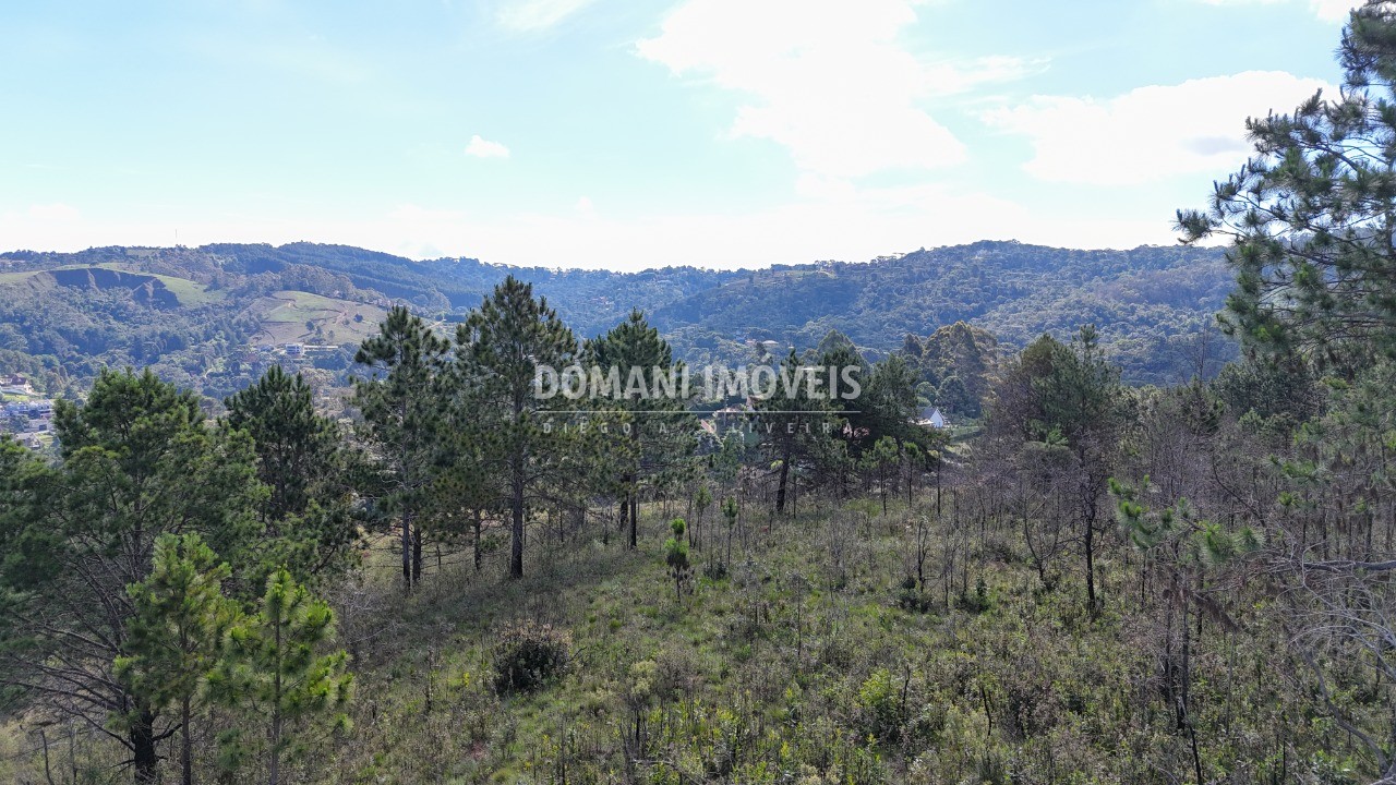 Terreno, 15050 m² - Foto 4