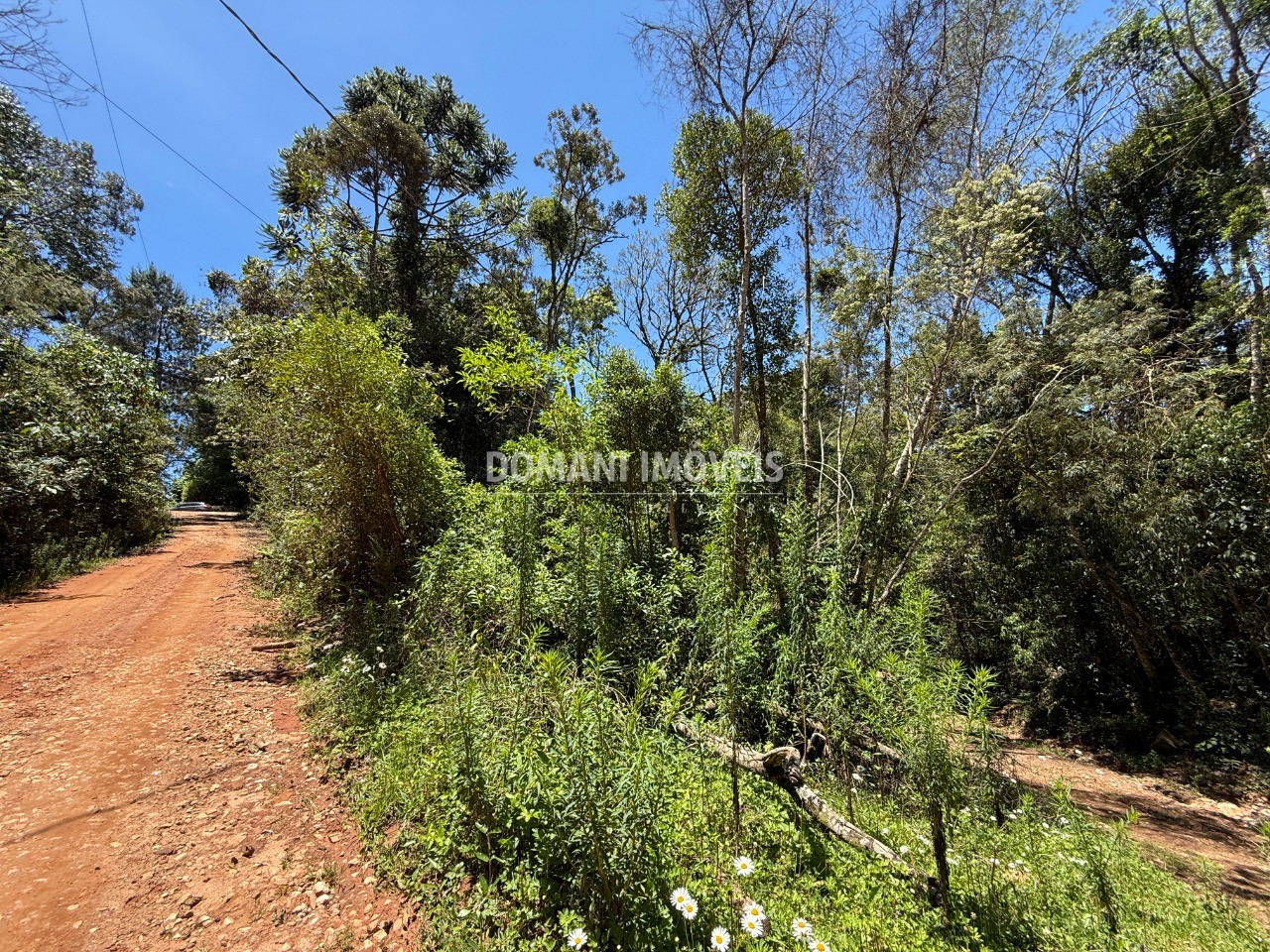 Terreno, 1095 m² - Foto 15
