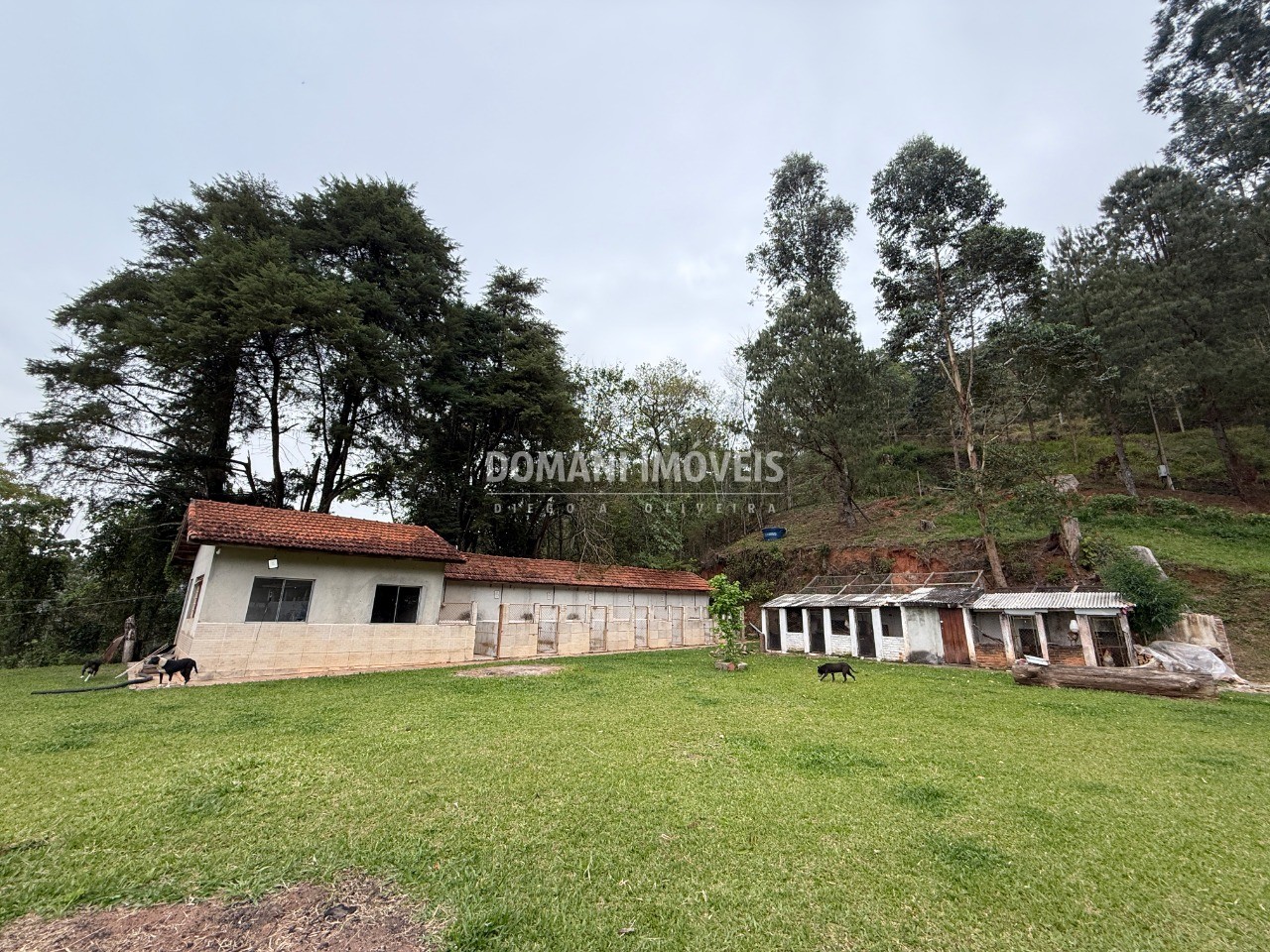 Sítio, 2 quartos - Foto 47