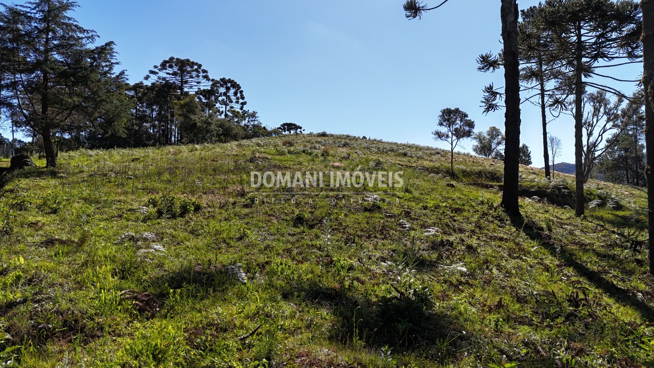 Terreno, 1410 m² - Foto 4
