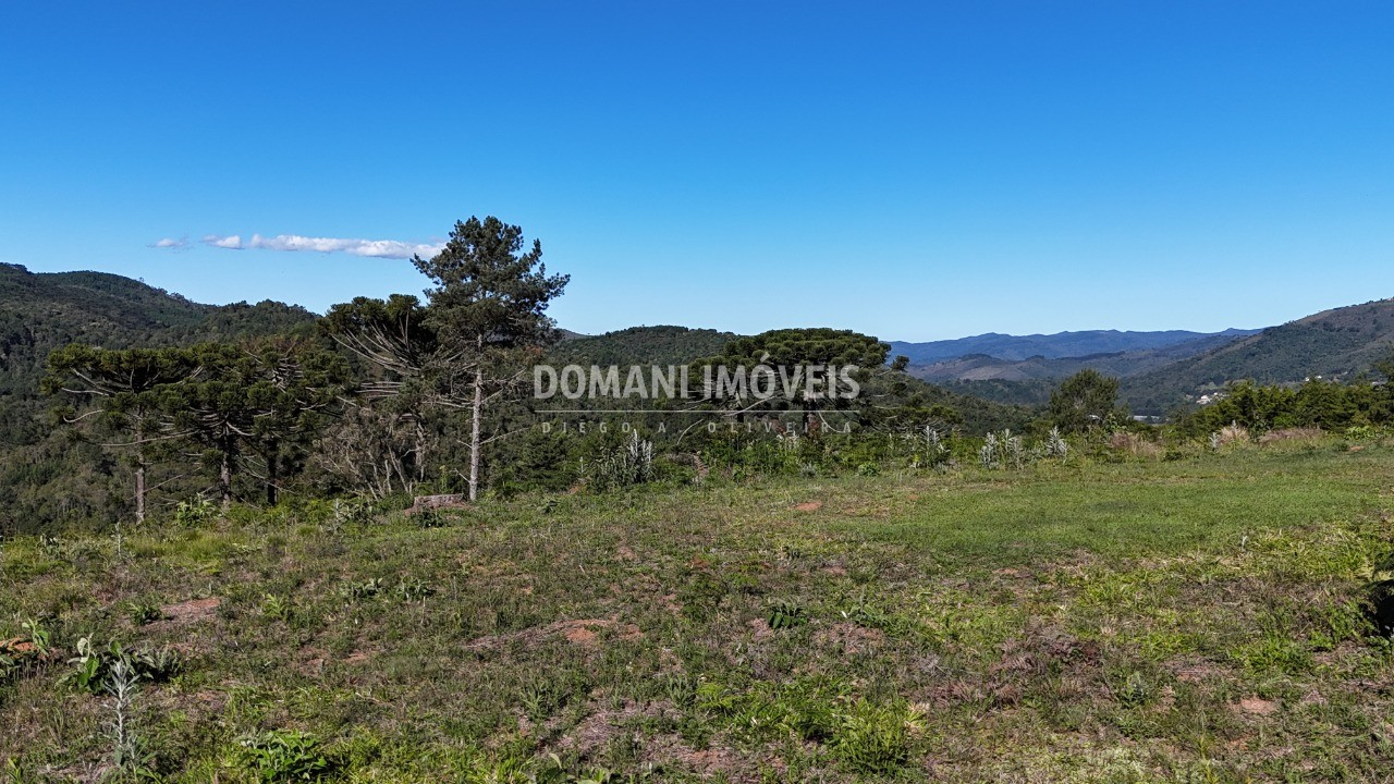 Terreno, 1195 m² - Foto 7