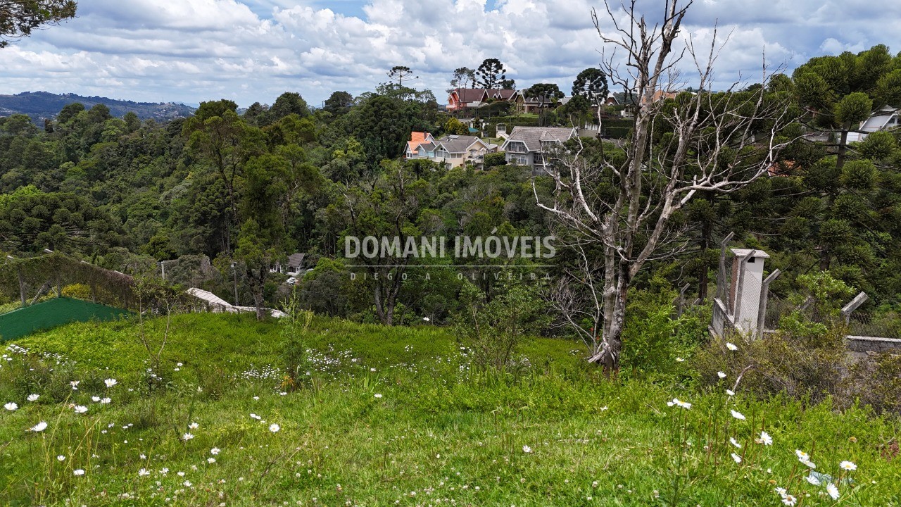 Terreno, 1180 m² - Foto 5