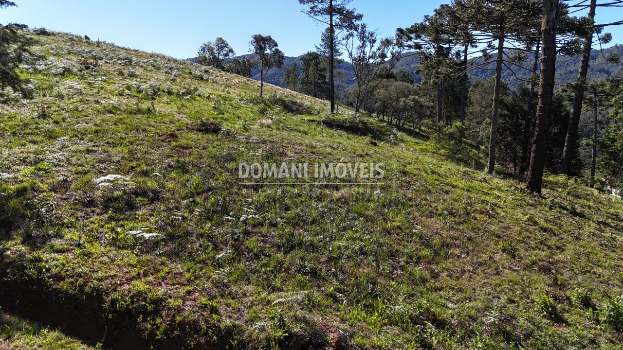 Terreno, 1410 m² - Foto 5