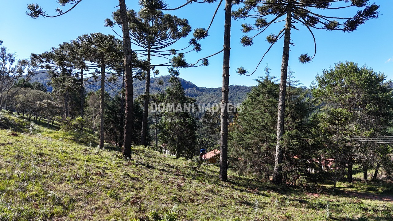Terreno, 1410 m² - Foto 6