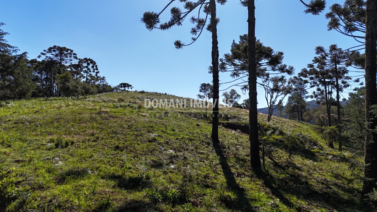 Terreno, 1410 m² - Foto 13