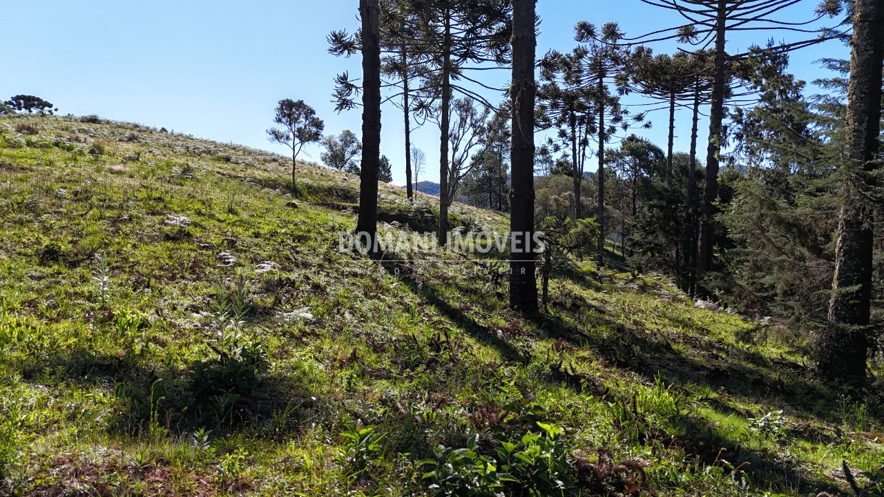 Terreno, 1410 m² - Foto 11