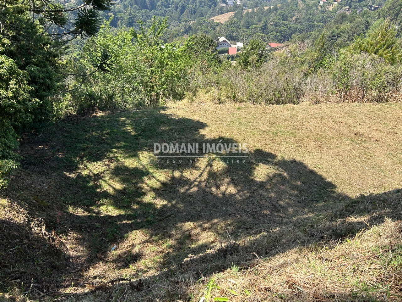 Terreno, 2610 m² - Foto 9