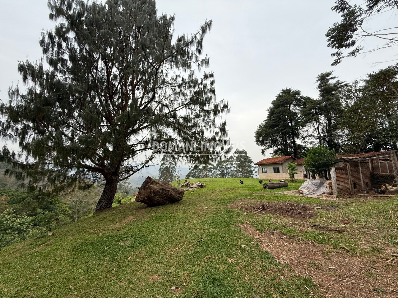 Sítio, 2 quartos - Foto 55