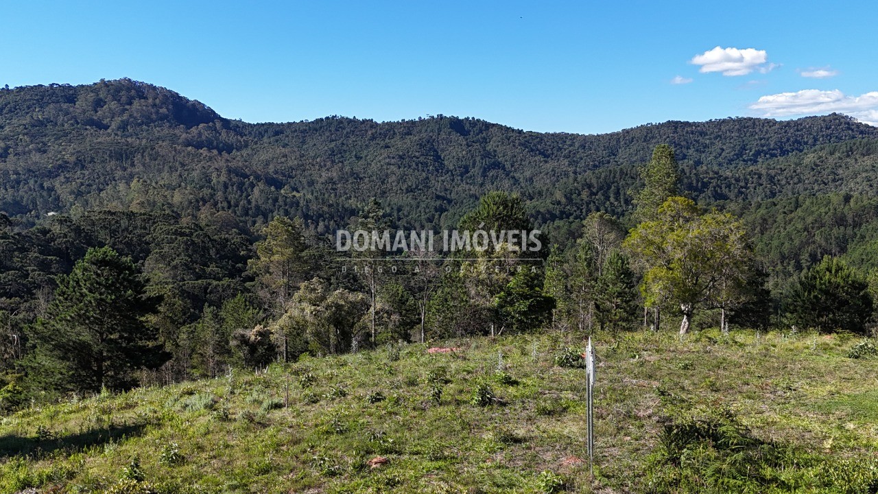 Terreno, 1195 m² - Foto 12
