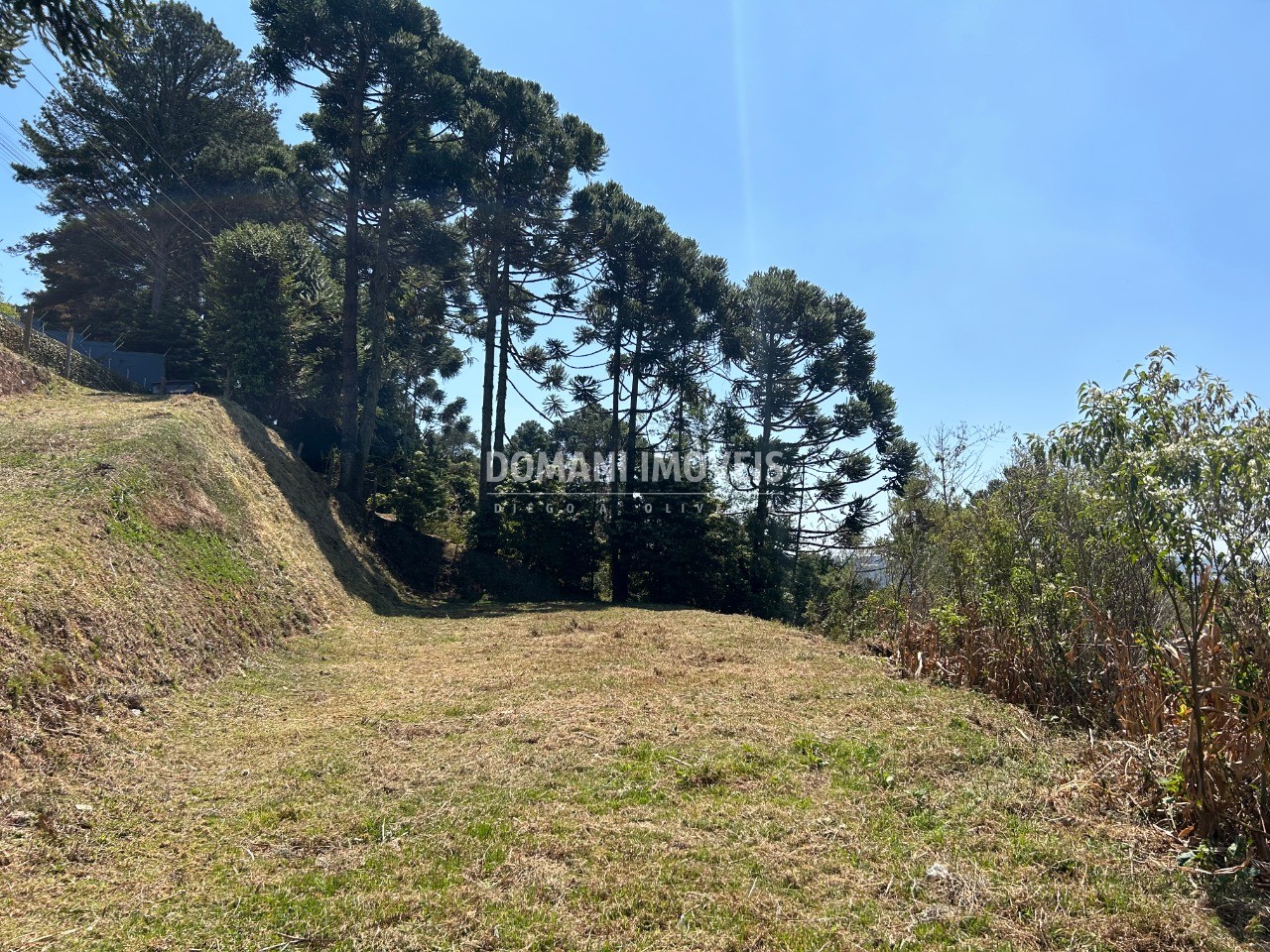 Terreno, 2610 m² - Foto 5