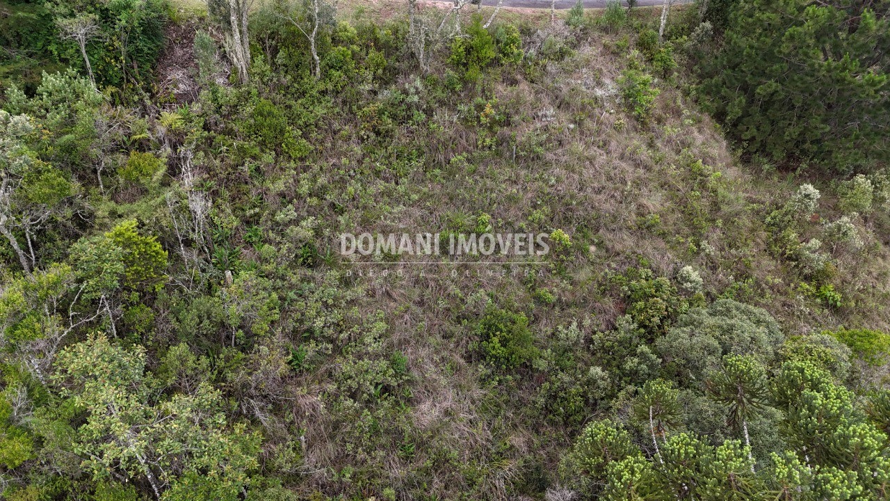 Terreno, 1250 m² - Foto 6