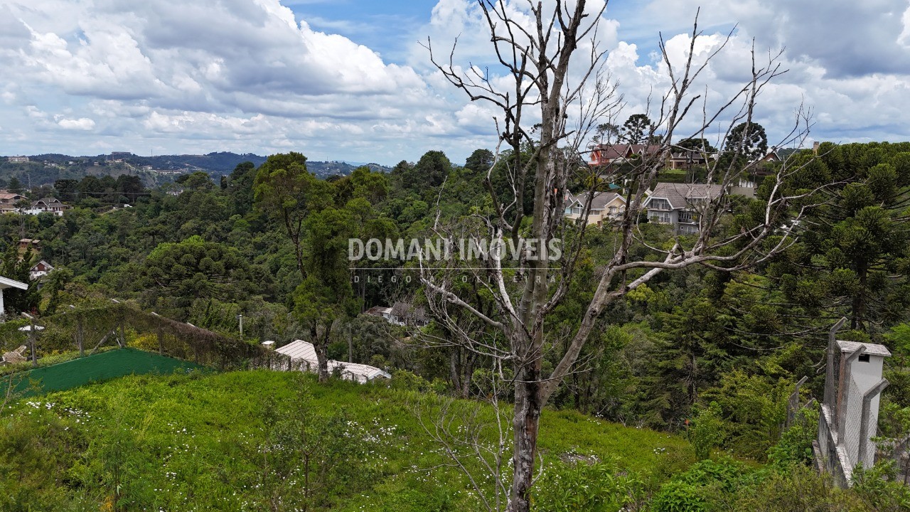 Terreno, 1180 m² - Foto 10