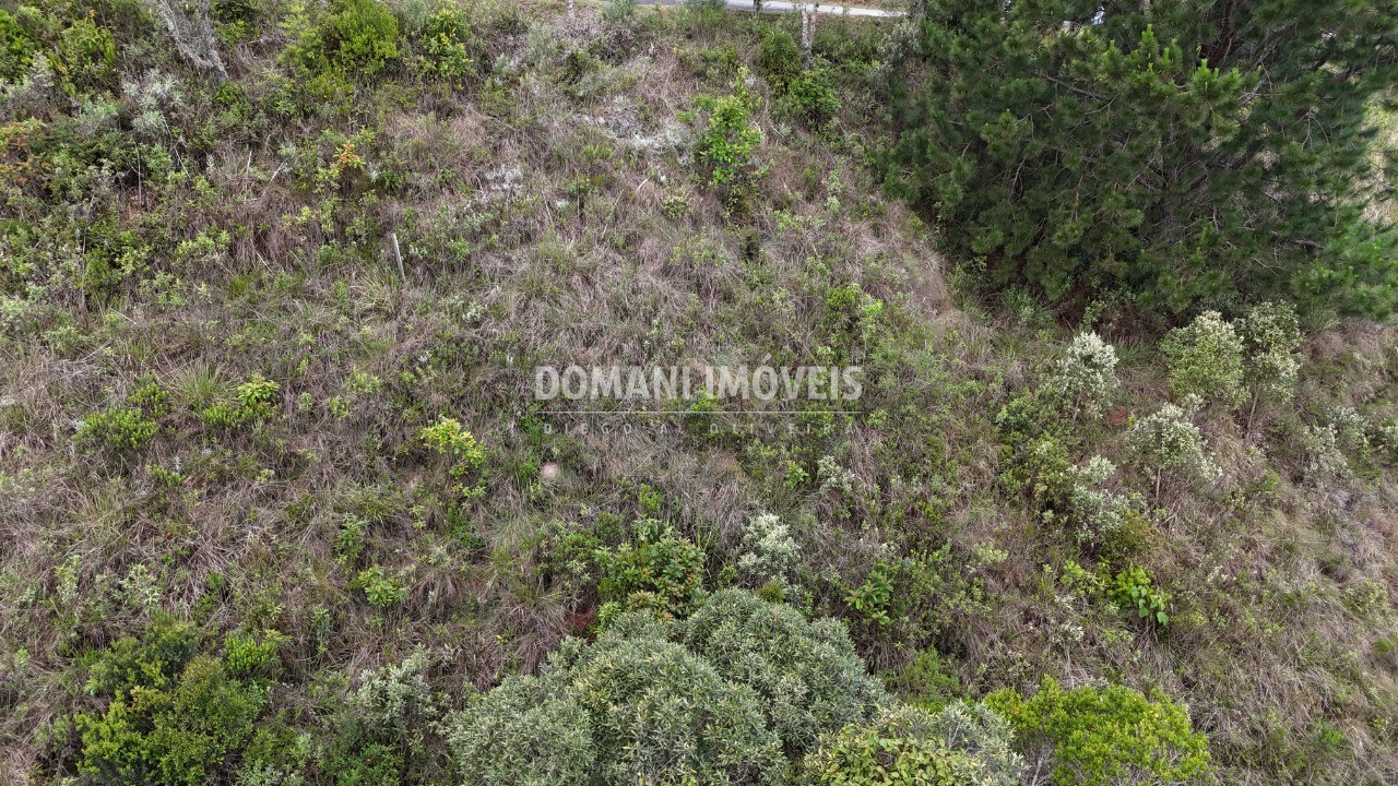 Terreno, 1250 m² - Foto 8