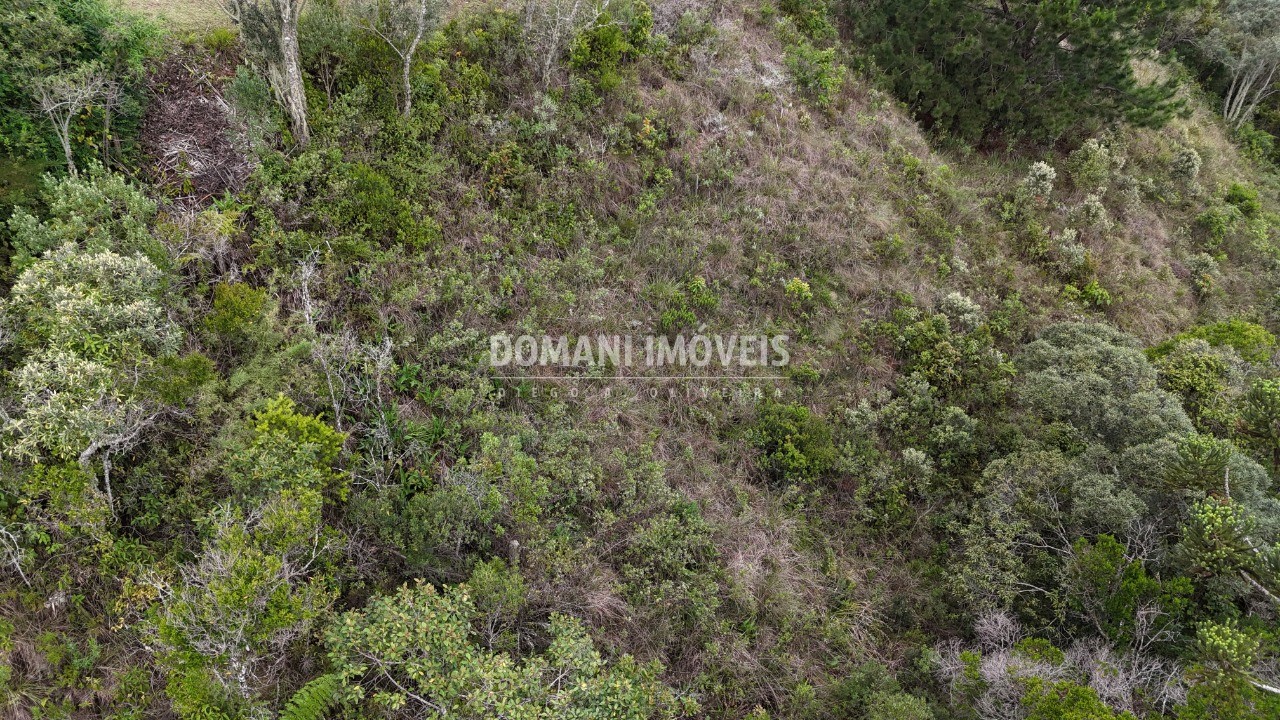 Terreno, 1250 m² - Foto 3