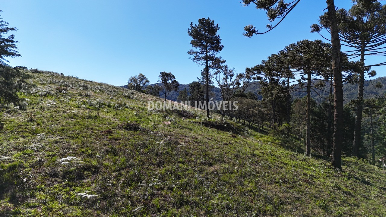 Terreno, 1410 m² - Foto 8