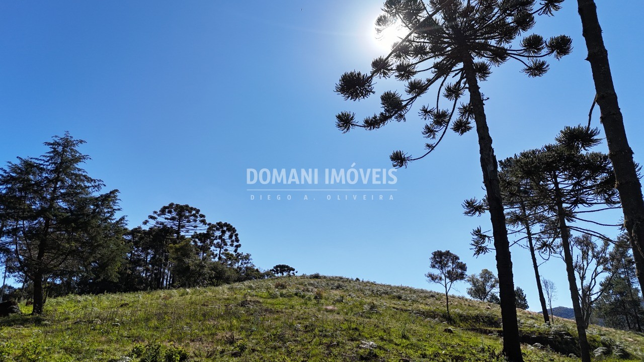 Terreno, 1410 m² - Foto 12